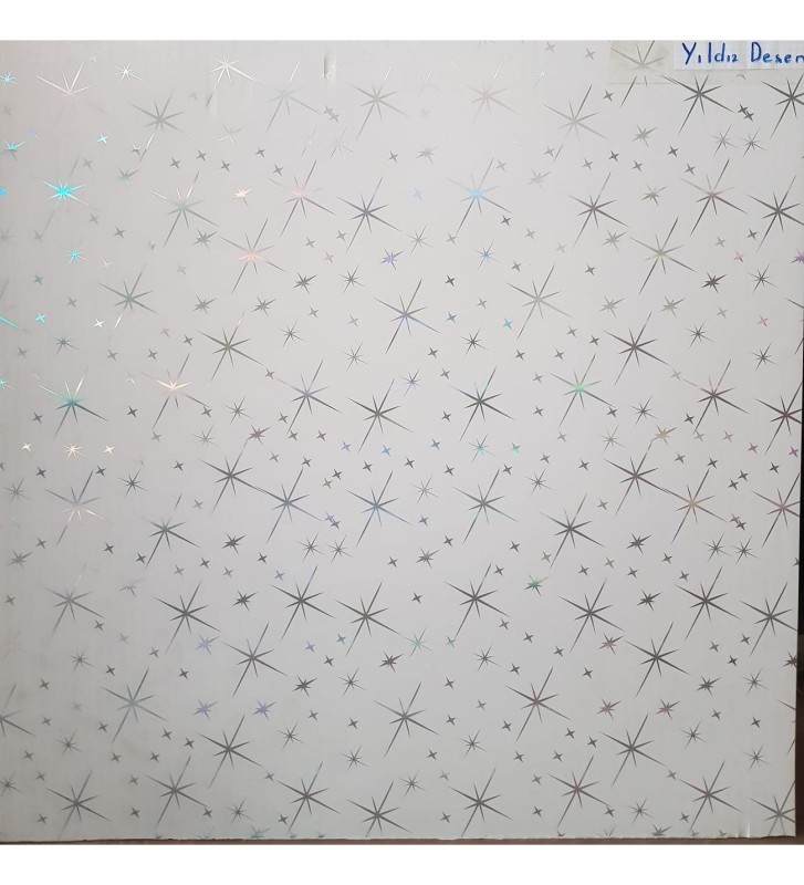 60x60 asma tavan